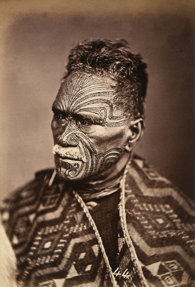 Portrait of a Maori with a tattooed face, c.1886-88 by New Zealand Photographer